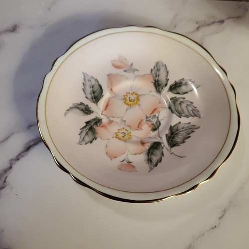 Paragon Teacup And Saucer Blush Pink Floating Dogwood Double Warrant - Picture 4 of 12