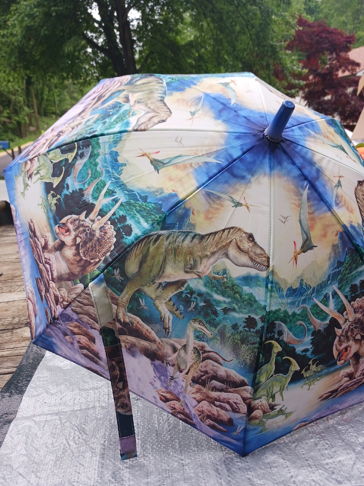 Kids Children Dinosaur Rain Umbrella Kids Boys/Girls Toddler Gift Toy eBay
