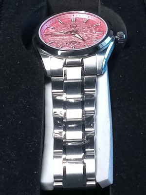 Watchdives WD0003 Cracked Pink Ice Dial Stainless Steel VH31 Watch