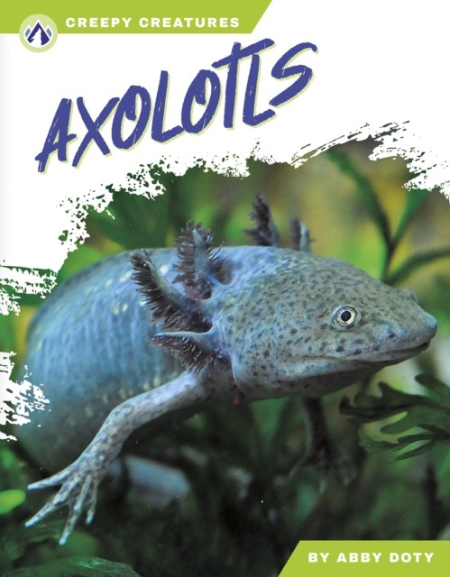 Axolotls by Abby Doty PAPERBACK 9798892503570