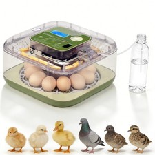 12 Eggs Incubator Automatic Digital Chicken Egg Hatcher Temperature Control