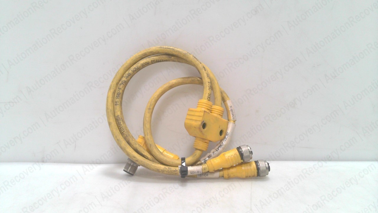 TURCK VB2-WSC 4.4T-0.3/2RKC 4T-0.3/0.3/S1587, DBL-END CORDSET, U-35356 #352259