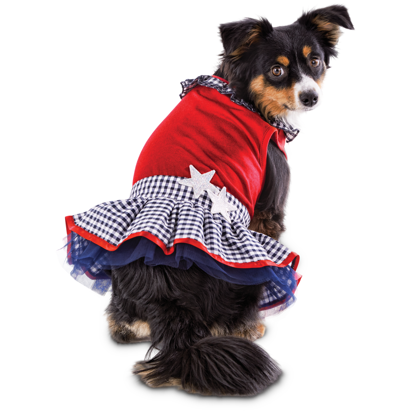 Patriotic Pets StarSpangled Dog Dress, XXSmall eBay
