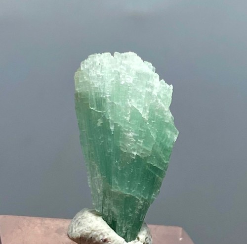 Natürliche zehn 🔟 Stück Turmalin Bündel Kristall Präparat aus Afghanistan 76,65ct - Bild 12 von 16