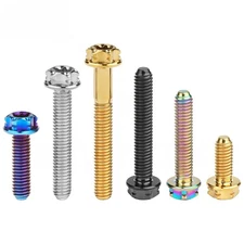 Titanium Bolt M4x10 15 20 25 30mm Flange Torx Head Screw with 'W' Logo Fasteners