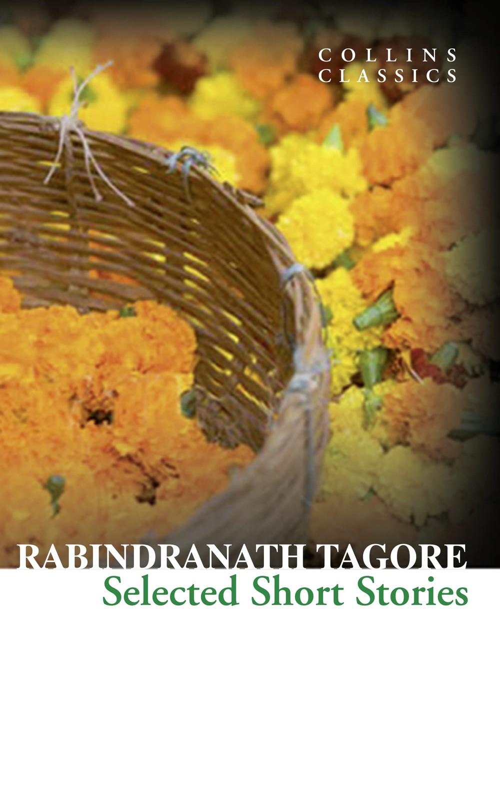 Selected Short Stories, Fiction – Fiction: literary and general non-genre – Classic fiction: literary and general, Paperback, Rabindranath Tagore - Image 2