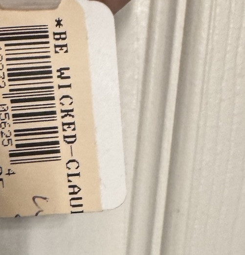 💡💡Be Wicked White Lace Up Corset Size Large💡💡