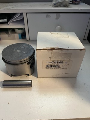 OEM Mercury Piston Kit Missing Clips 785-9738T9