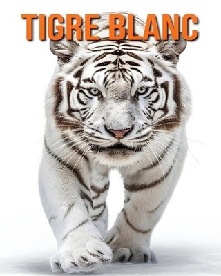 Tigre Blanc: Des Informations et des Images Amusantes et Int?ressantes concernan