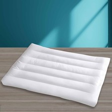 Ultra Flat Thin Pillows for Sleeping Standard Size, 2-1/2" High Slim Bed Pillow