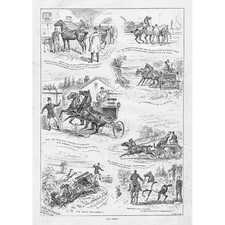 W STANFIELD STURGESS Carriage Horses on Trial - Antique Print 1891