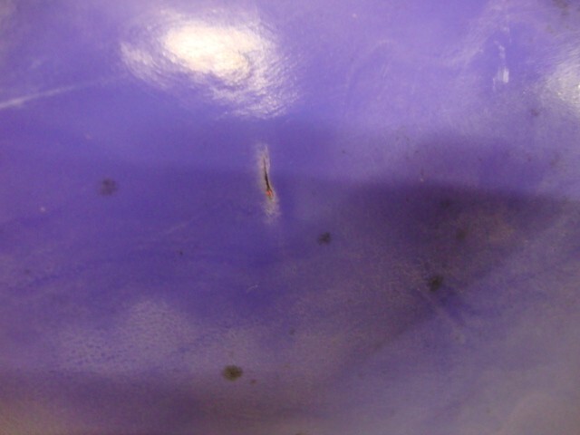 Picture 8 of 8