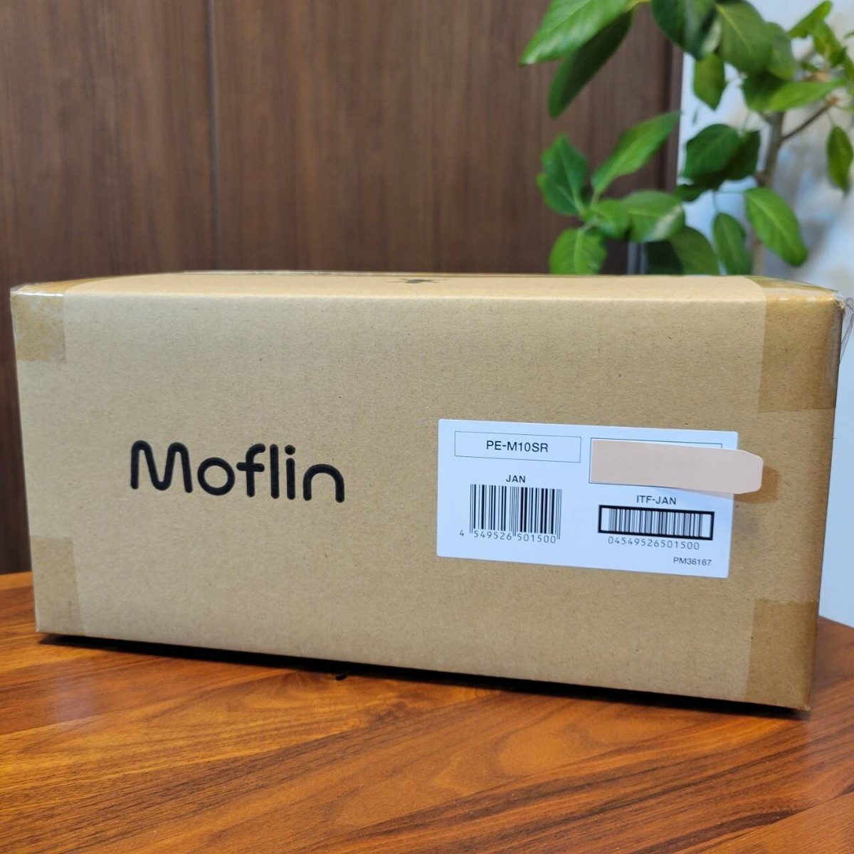 シルバー PE-M10SR Moflin CASIO Moflin(シルバー) | CASIO
