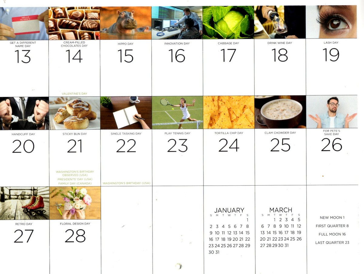 wall-calendar-national-day-8-5-x-11-unique-funny-celebrate-every-day-2022-ebay