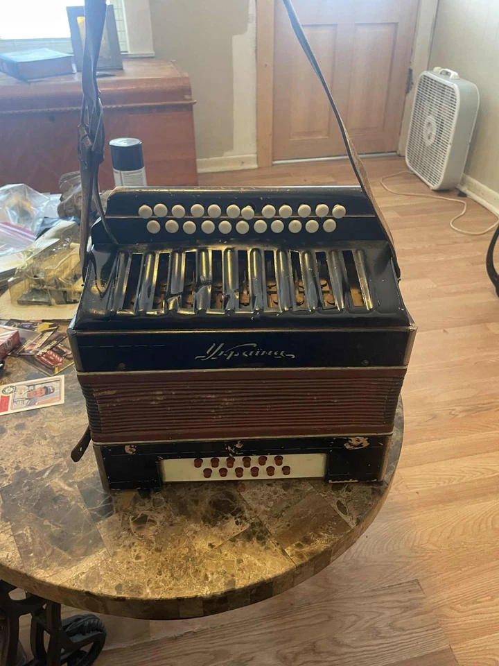 Acordeón Ucrania Foto 3 de 3