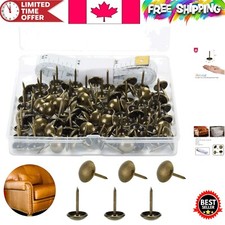 100 Pack Bronze Upholstery Tacks - Decorative Nail Heads for Elegant Projects