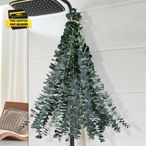 12 Pcs Dried Eucalyptus for Shower Hanging - 17'' Real Large Preserved Eucalyptu