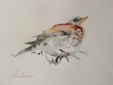 Cuckoo bird,  Birds, Watercolor artwork, Handmade, Original painting on paper