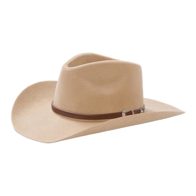Stetson Seneca 4X Silver Sand Western Cowboy Hat SBSNCA-413498 | eBay