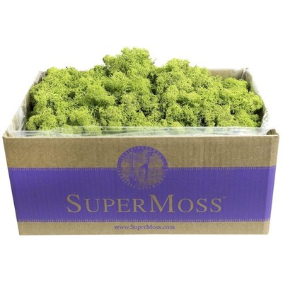 Reindeer Moss for Craft Projects