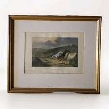 Antique Small Coloured Etching Engraving Print Coursing Circa 1870  Wolstenholme
