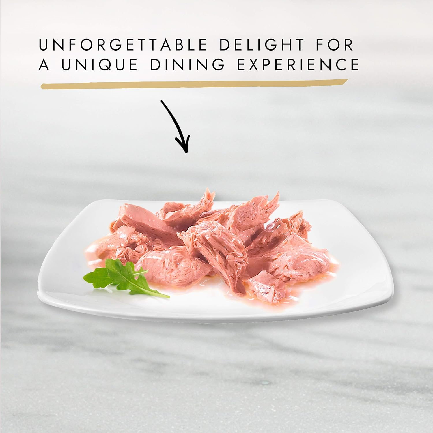 Gourmet Solitaire Adult Wet Cat Food with Turkey 12 x 85g Packs eBay