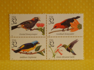 Block of Unique Vintage US Postage Stamps - 1998 Tropical Birds