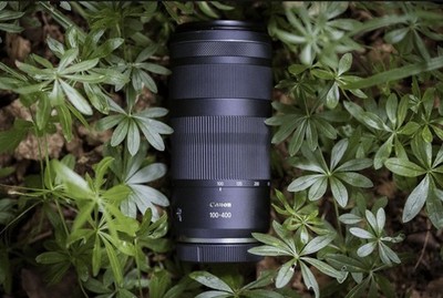 Canon RF 100-400mm f/5.6-8 IS USM Telezoom Objektiv EOS R Wildlife Sport NEU OVP