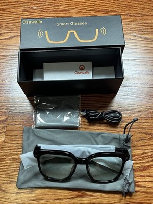 Osawalla Smart Glasses Bluetooth Wi-Fi 8MP Camera Translation Voice Assistant
