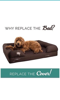 light green dog collar