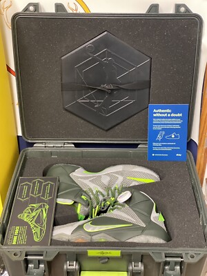 Special Edition Nike LeBron 12  Dunk Force  Exclusive to Asia size 10 with case