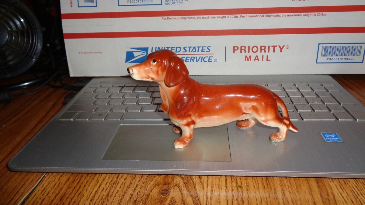 70 lb weiner dog cheap