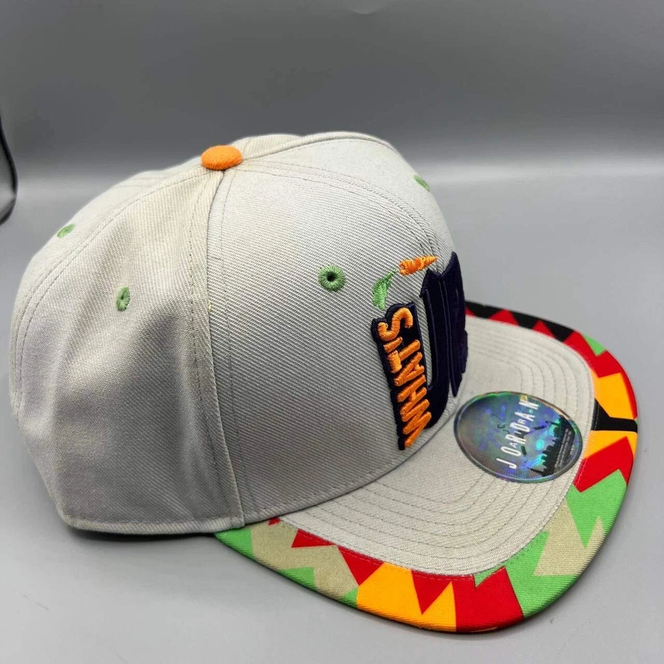 Gorra Air Jordan Hombre Gris Space Jam What's Up Jumpman Nike Correa Trasera Gorra Foto 4 de 4