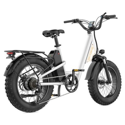 ebike 20'' Fat Tires Mountain Electric Bicycle for Adults Peak 1500W 48V 30MPH US