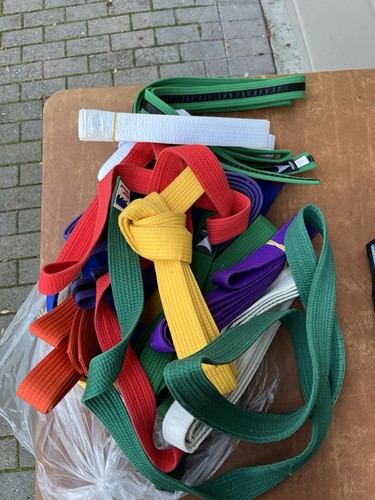14 Karate/TKD Belts Lot - ProForce Thunder & Bear Belt Color Sz3-6 Tae Kwon Do