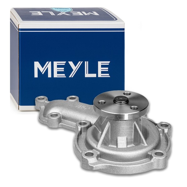 Meyle Wasserpumpe Passend FüR Land Rover Defender L316 L315 L316 Discovery LJ-image