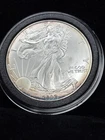 2002 American Silver Eagle BU Gorgeous Rim Toning .999 Silver From Album