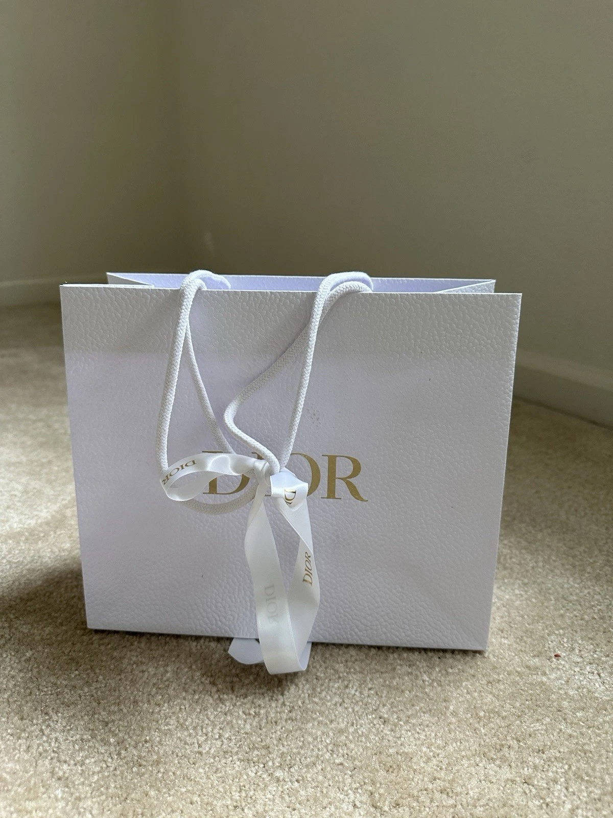sac cadeau shopping dior. pls vérifier mon placard pour plus d'objets.