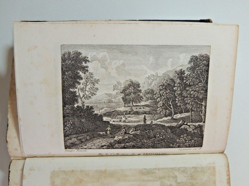 Abbé Lanzi. Histoire des principaux peintres des écoles d'Italie. 80 planches. - Picture 7 of 15