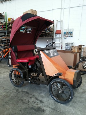 Tandem elettrico Riscio elettrico | eBay