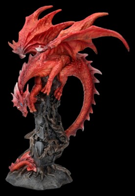 Drachen Figur auf Ruine - Draconic Roots - Gothic Fantasy Deko Dragon H: 28 cm