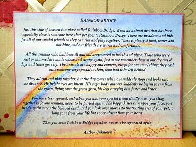 rainbow bridge poem large frameable print card pet loss dog cat