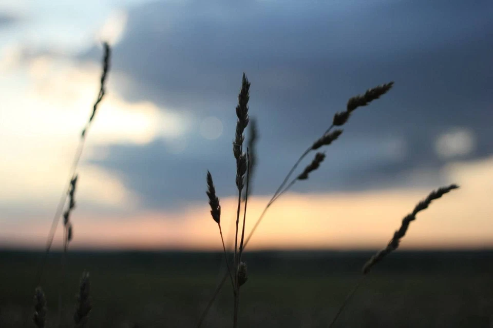 US Seller MIR 1 1b 1V 37mm f/2,8 CLA Fixed m42 Bokeh Wide Angle Portrait DSLR - Image 2 of 4