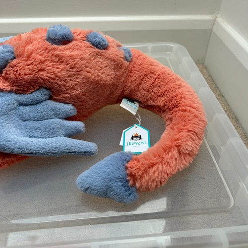 Jellycat Persimmon Dragon - RARE - New w/ Tags - Free & Fast Shipping β
π - Picture 4 of 9