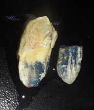 10ct Crystal Opal Tree Bark Plant Fossil Natural mined Rainbow Lightning Ridge