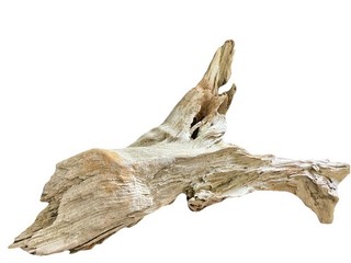 Madera a la deriva grande para decoraciones de pecera de acuario 10 21 pulgadas