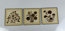 Set /3 Picture Vintage Pressed Dried Flowers Botanical Art Mexico Metal Frames