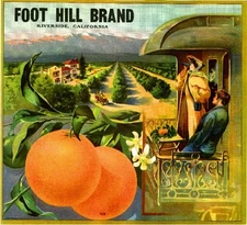 Riverside Foot Hill Foothill Train Orange Citrus Fruit Crate Label Art Print