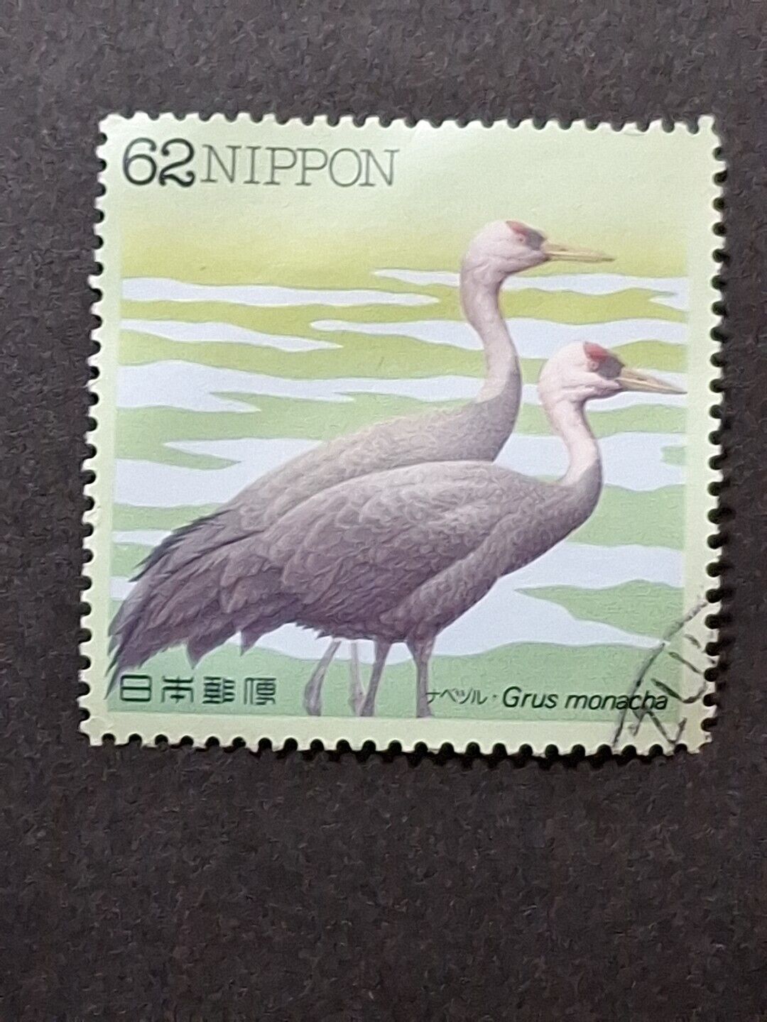 Picture 7 of 19