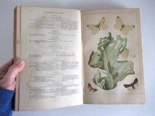 Report of the Commissioner of Agriculture for the Year 1883, HC Antique Book - Picture 13 of 20